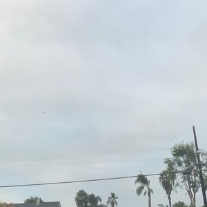 Meet your Posher, Ramses